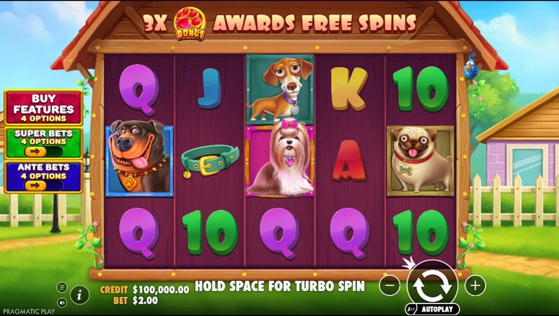 United Kingdom - spin castle login United Kingdom - spin castle login
